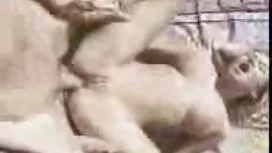 女朋友在樹林裡塗鴉的傢伙
