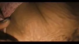 活躍的女孩同意口交後深肛門